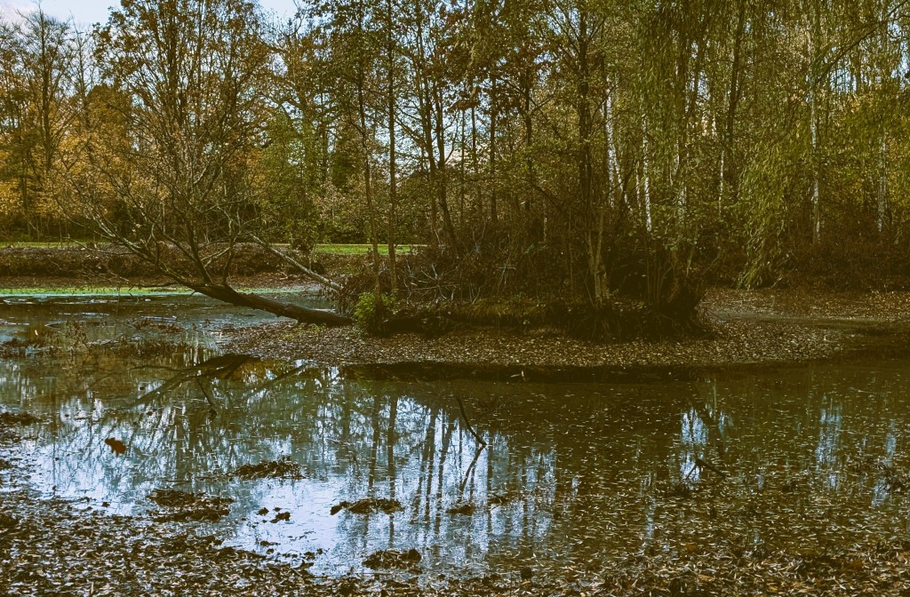 Towards a madness without&nbsp;alienation